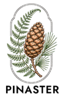 cropped Logo Pinaster 1.png